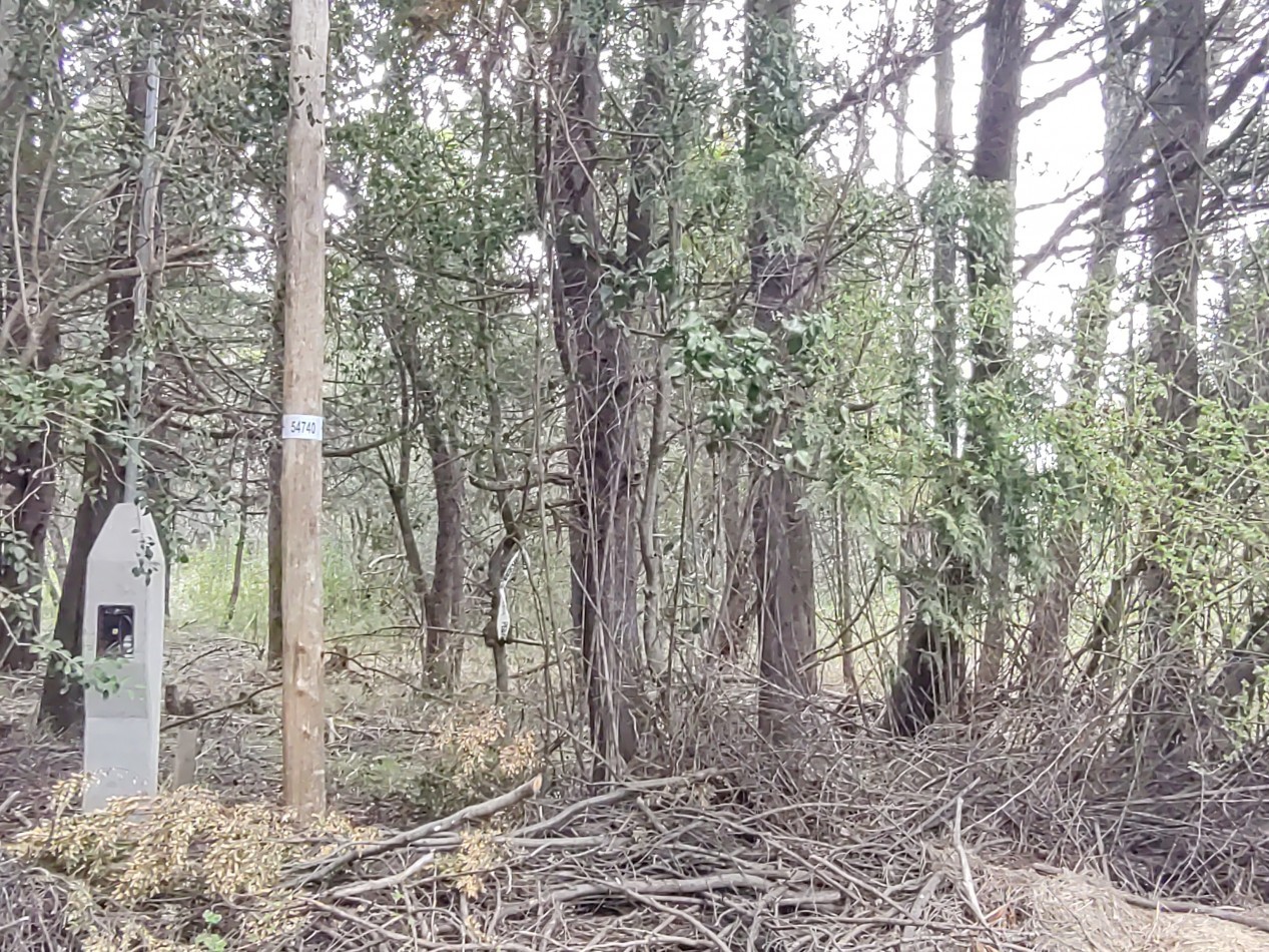 Lote en Lago Morenito sobre calle Juan Jose Castro, Bariloche. 