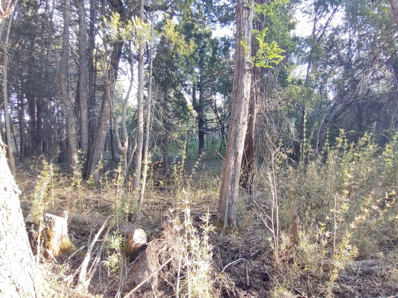 Lote en Lago Morenito sobre calle Juan Jose Castro, Bariloche. 