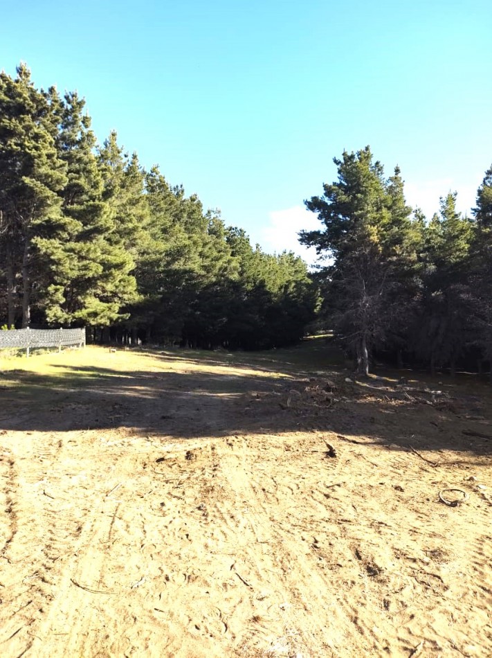 Lotes en Dihe Hue, en venta, Dina Huapi, a 15 km de Bariloche