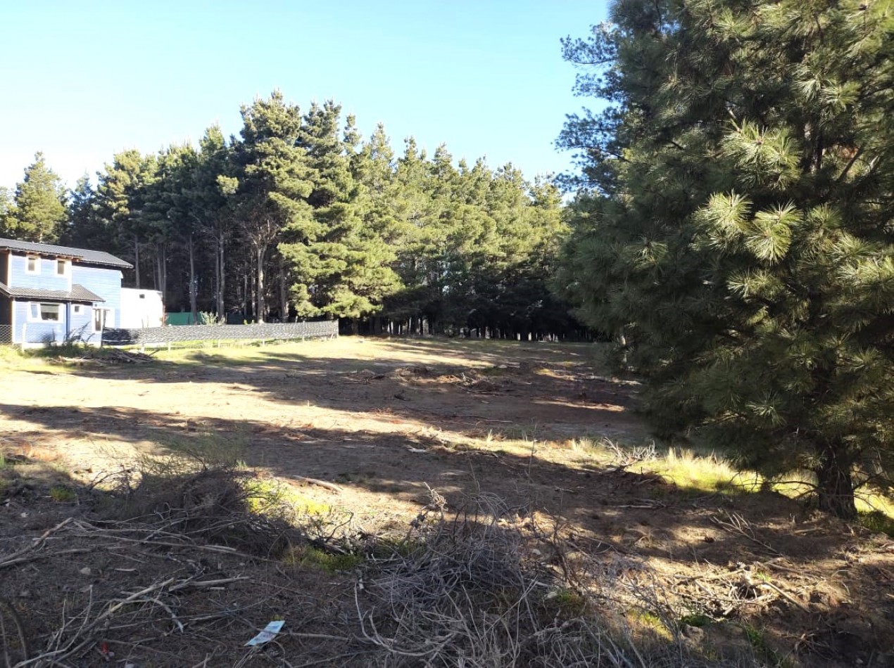 Lotes en Dihe Hue, en venta, Dina Huapi, a 15 km de Bariloche