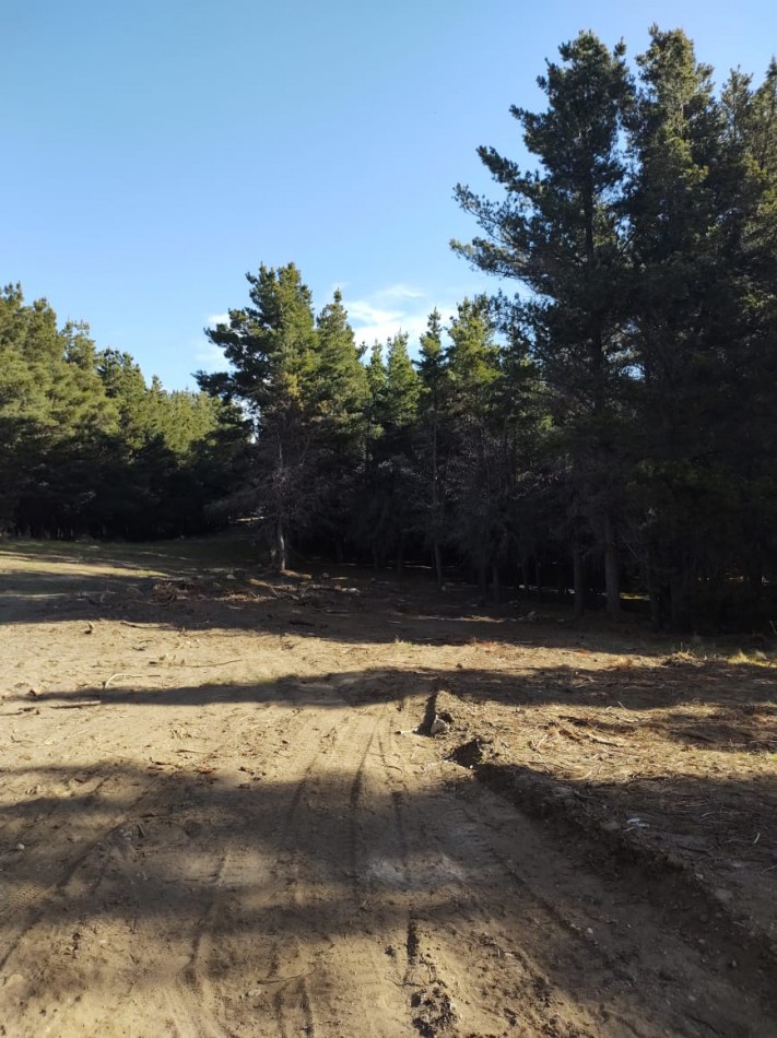 Lotes en Dihe Hue, en venta, Dina Huapi, a 15 km de Bariloche