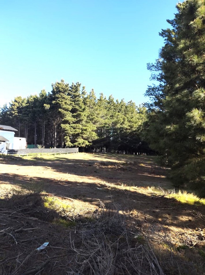 Lotes en Dihe Hue, en venta, Dina Huapi, a 15 km de Bariloche