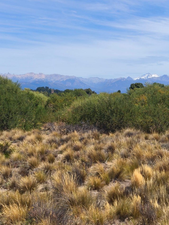 Barrancas de Dina Huapi lote 353 barrio privado a 15 km de Bariloche vigilancia plano vistas amenities tenis SUM