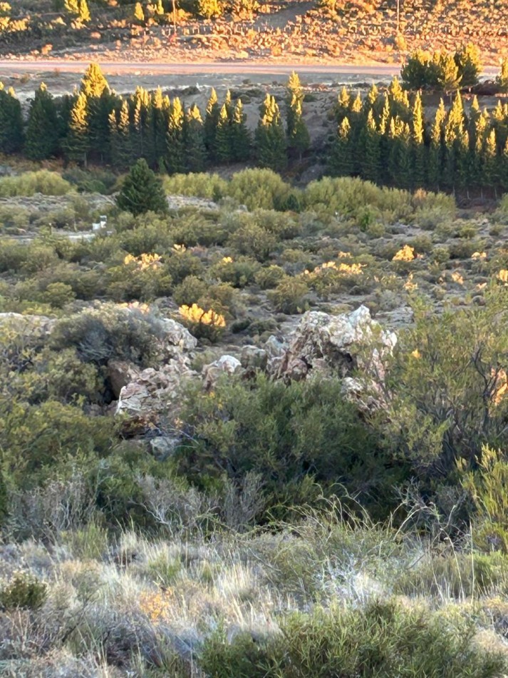 Barrancas de Dina Huapi lote 290 barrio privado a 15 km de Bariloche vigilancia plano vistas amenities tenis SUM