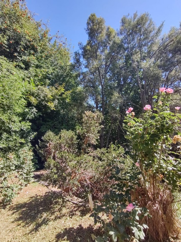 Casa 4 ambientes con vista a 100 m de Pioneros km 6, Bariloche en venta apto credito hipotecario UVA lote propio orientacion norte