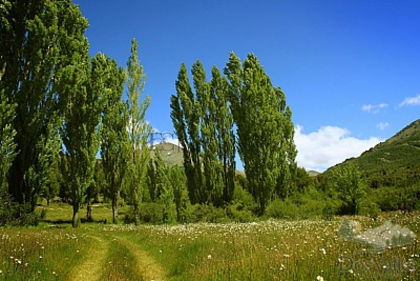 Lote en Club de Campo Dos Valles, Bariloche en venta L23