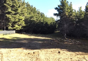 Lotes en Dihe Hue, en venta, Dina Huapi, a 15 km de Bariloche