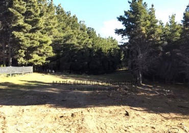 Lotes en Dihe Hue, en venta, Dina Huapi, a 15 km de Bariloche