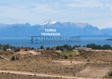Lote en Barrancas de Dina Huapi L. 219 vista 360 al lago y a la cordillera orientacion Norte